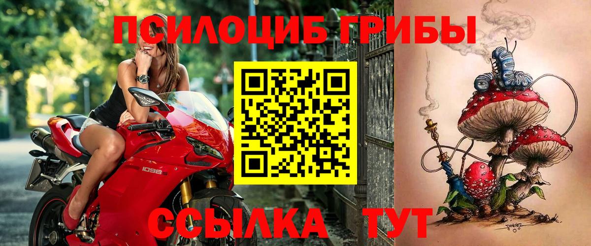Псилоцибиновые грибы Cubensis Коммунар