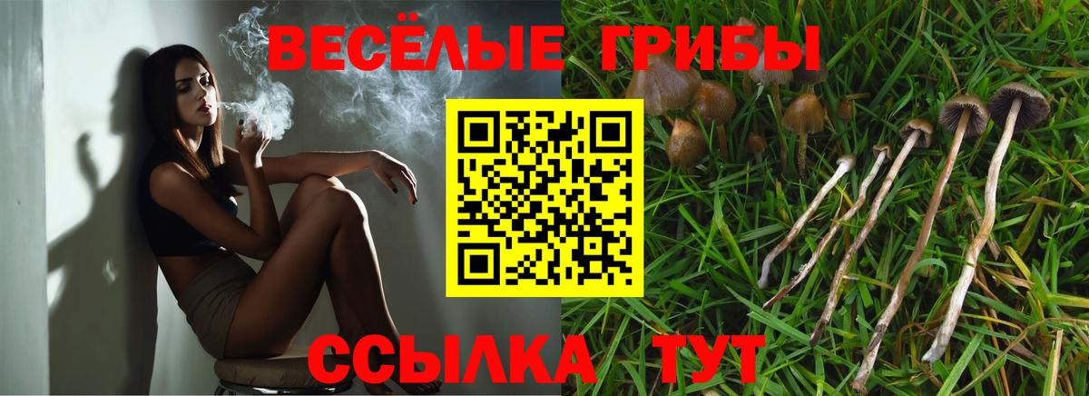 Галлюциногенные грибы Psilocybine cubensis  Вход с VPN  Коммунар  Псилоцибиновые грибы Psilocybe 